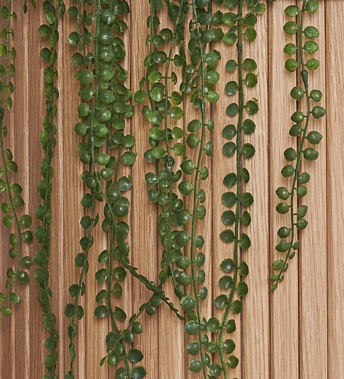 Artificial Ficus Pumila Hanging