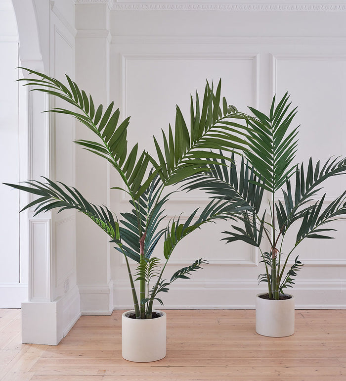 Artificial Kentia Palm