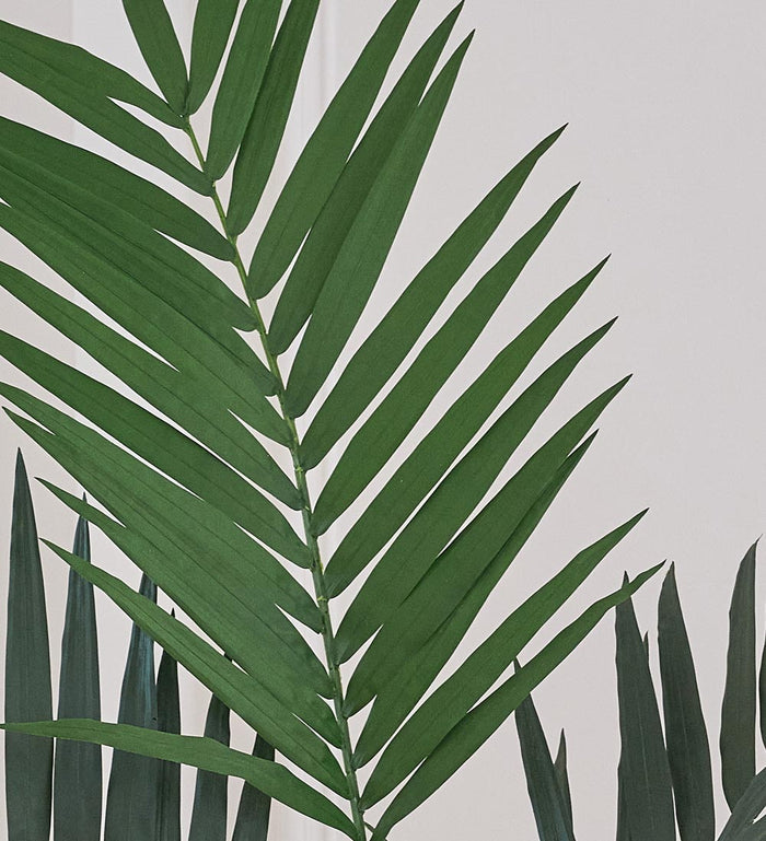 Artificial Kentia Palm
