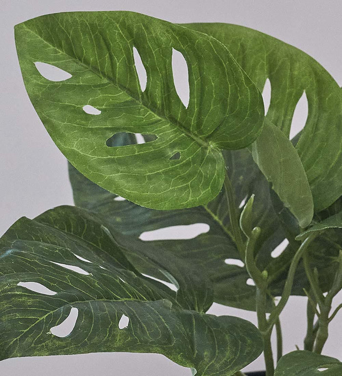 Artificial Monstera Obliqua