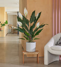 Artificial Peace Lily