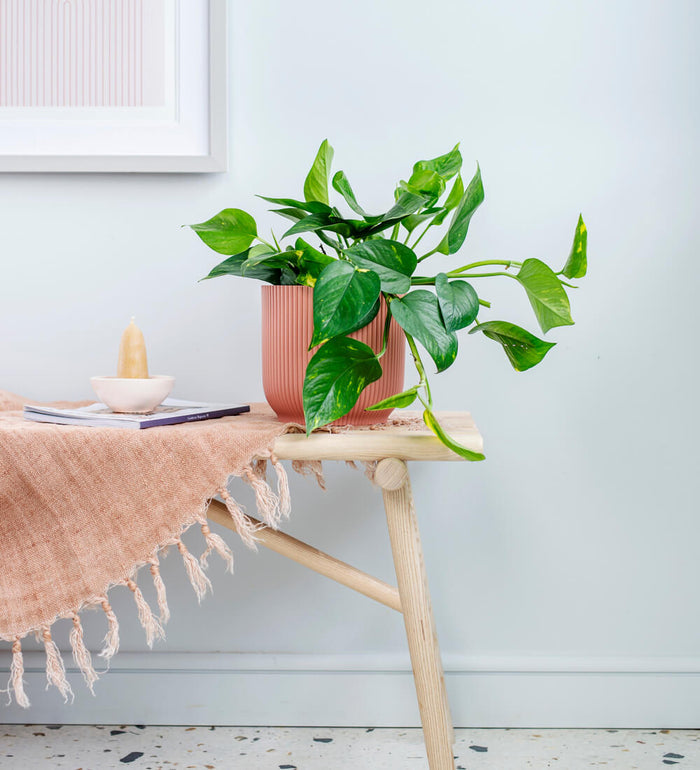 Bestseller Bundle