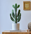 With Cool Grey Pot