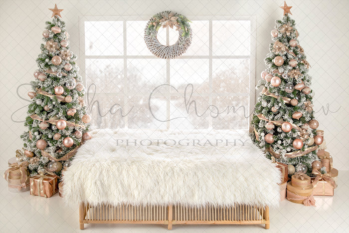 Digital Backdrop