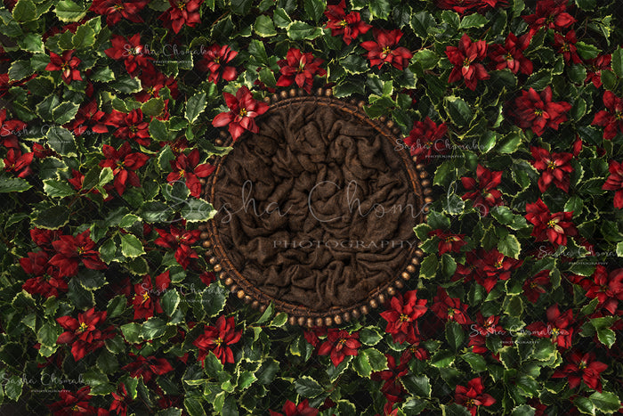 Digital Backdrop