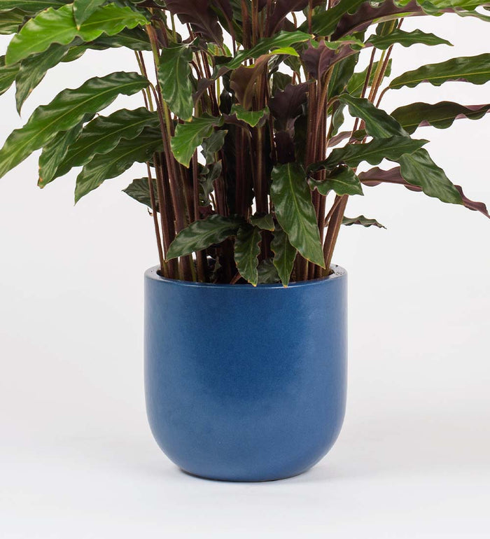Inky Blue Earthenware Pot (14cm)