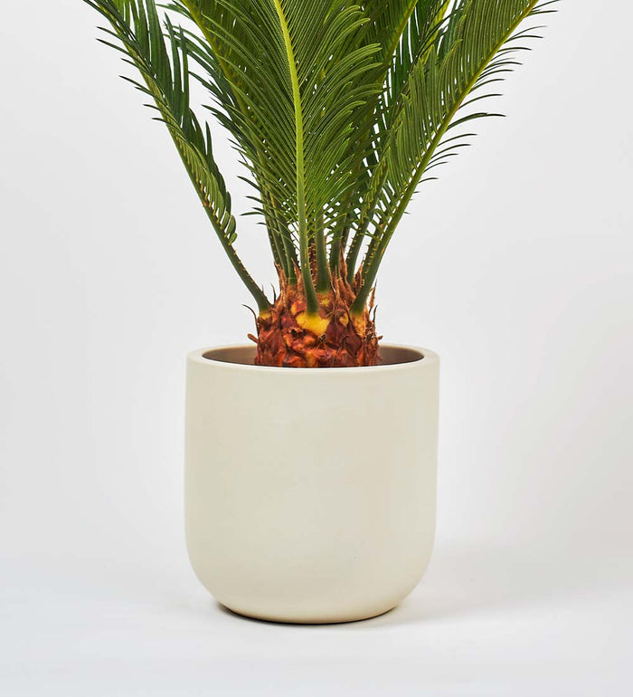 Oyster Earthenware Pot (16cm)