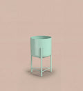 Small mint pot on stand