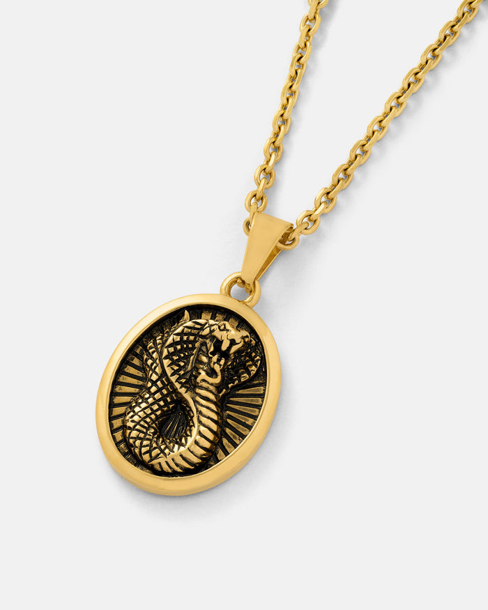 The Snake Charmer Pendant (Gold) is an 18k gold necklace featuring an oval design with an embossed cobra at the center, set against a textured background for striking allure.