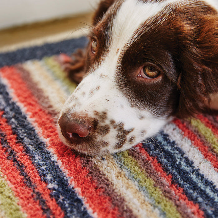 Stripe 32 Multi Washable Doormat 3