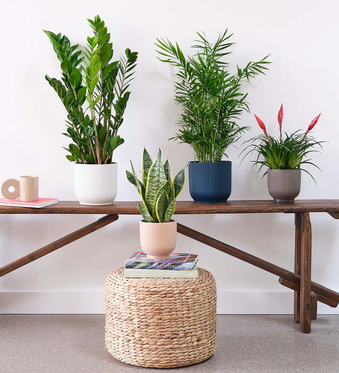 Bundle With Pots